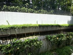 Waterscape at Cavenagh (D9), Apartment #451043481